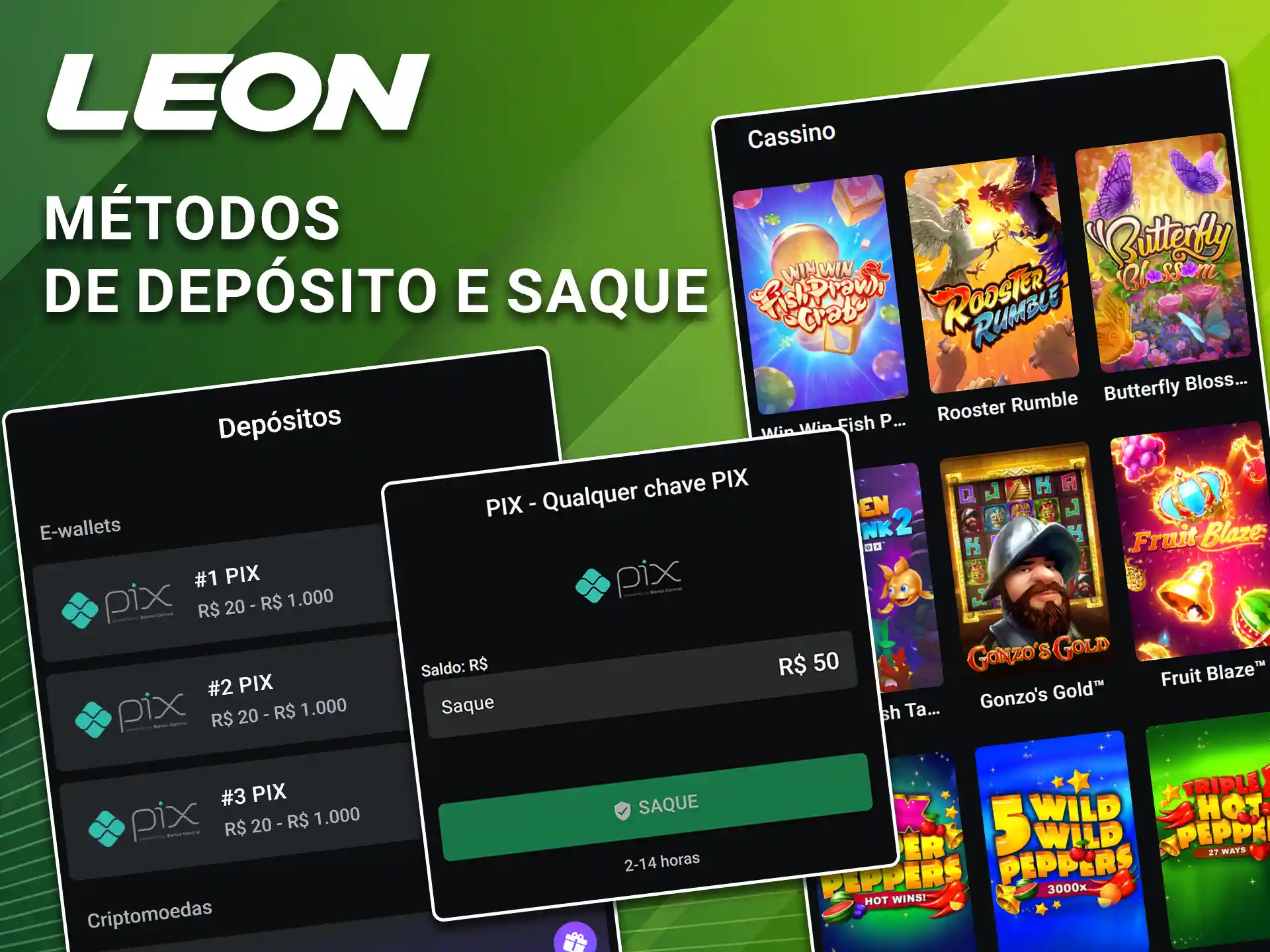 Recarregue sua conta usando os métodos de depósito rápidos da LeonBet.