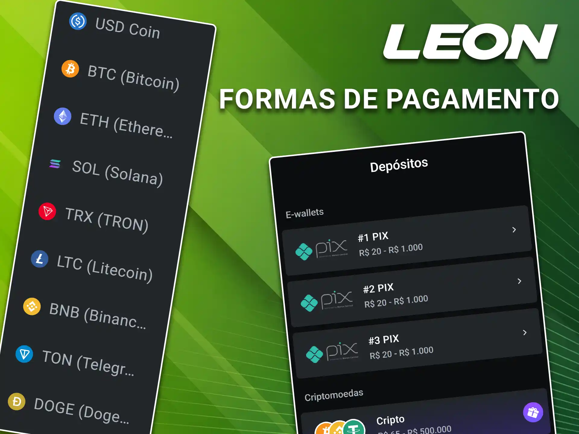 Confira os métodos de pagamento disponíveis na LeonBet.